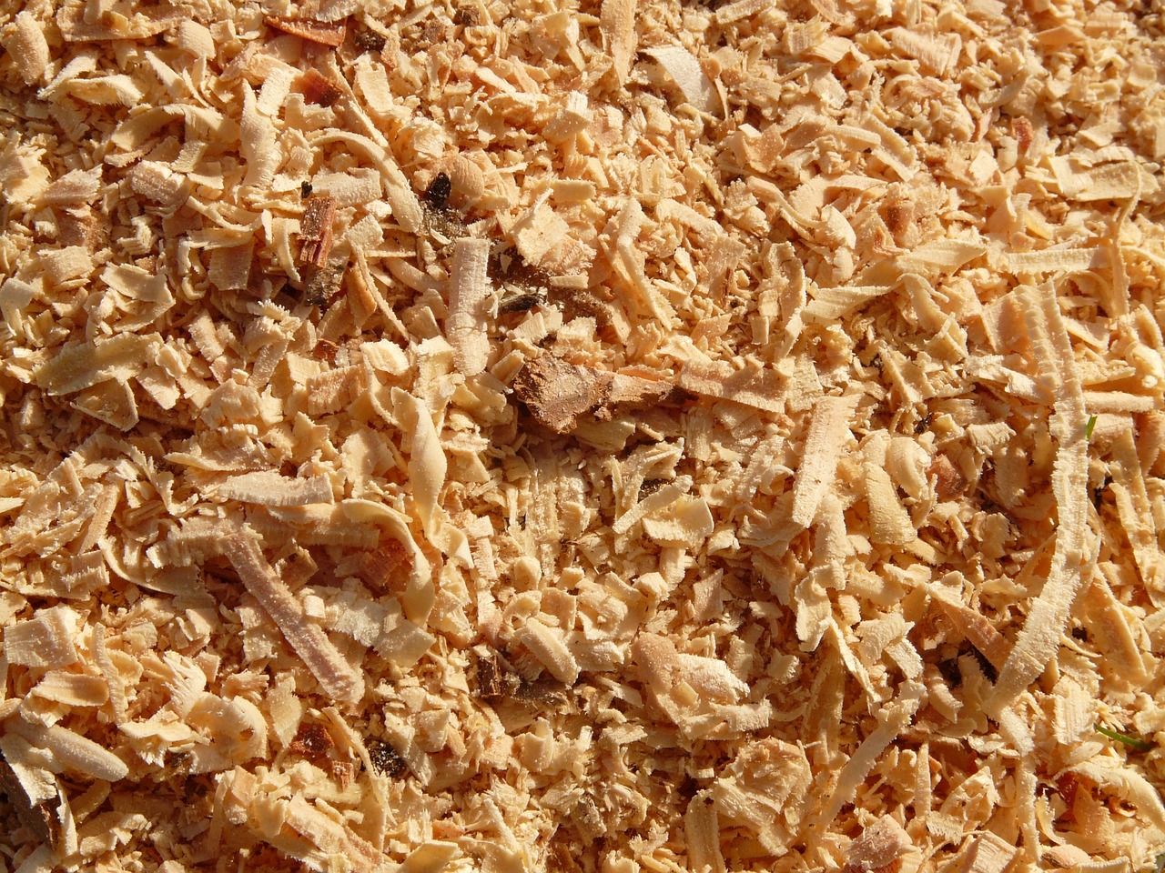 Woodworking Basics: Using a Jigsaw for Crafts